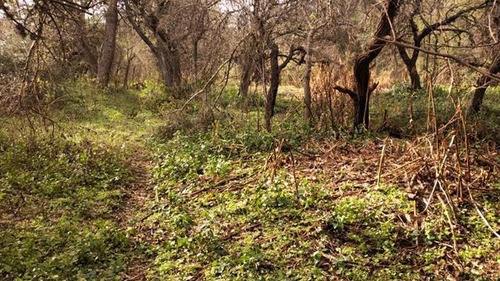 Imagen 16 de 30 de Terrenos Desde 3 Mil M2 A 1 Hectarea En Venta En San Javier, Traslasierras