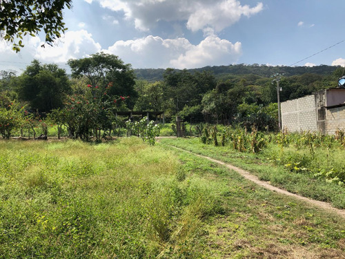 Terreno Campestre Con Servicios Zona Libramiento Sur Nuevo