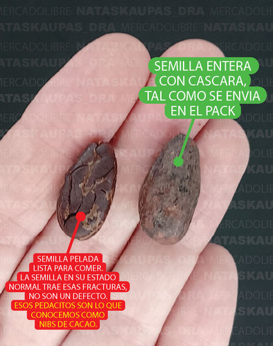 Semillas De Cacao Seleccionadas Y Tostadas X 250grs