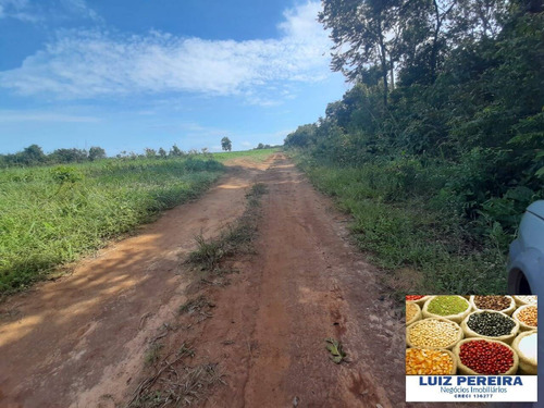 Imagem 13 de 15 de Fazenda À Venda No Vale Do Araguaia / Divinópolis - To - (dupla Aptidão) - 1705