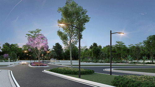Imagen 6 de 8 de Terreno Residencial En Venta En Chicxulub