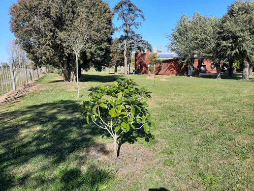 Imagen 2 de 24 de Quinta En Venta Ruta N5
