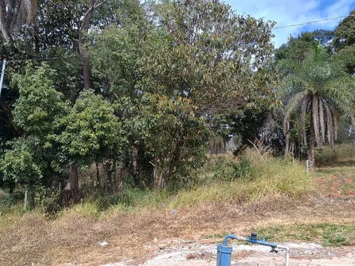 Lote De 1000 M2
