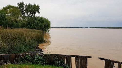 Imagen 23 de 30 de Lote De 25.000m2 Venta 2da Sección Delta Islas Paraná Palma