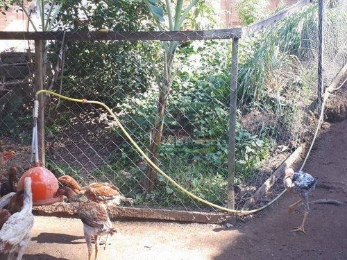 Imagem 17 de 20 de Chácara Com 4 Dormitórios À Venda, 640 M² Por R$ 424.000 - Cidade Recreio Da Borda Do Campo - Santo André/sp - Ch0441