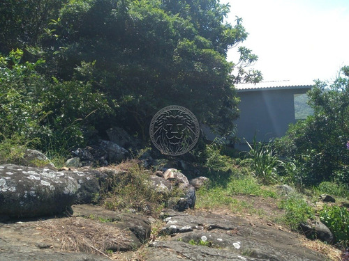 Imagem 12 de 15 de Casa - Morro Das Pedras - Ref: 2057 - V-2094