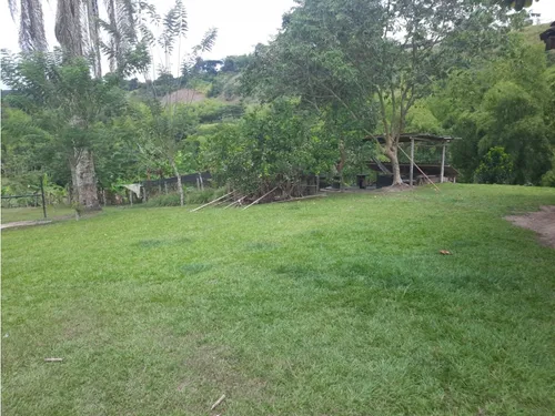 Venta Finca La Tebaida Cultivada En Pasto - 40 Cuadras