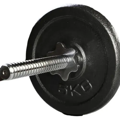 Barra W Para Pesas Y Discos Gym Barra Importada Seguros Cuotas