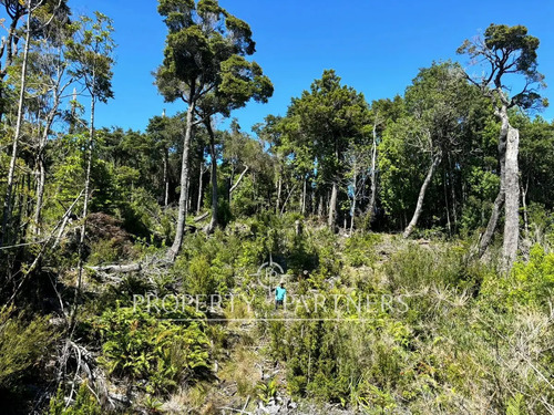 Oportunidad De Inversión, Campo Con 1.700 M De Ori...