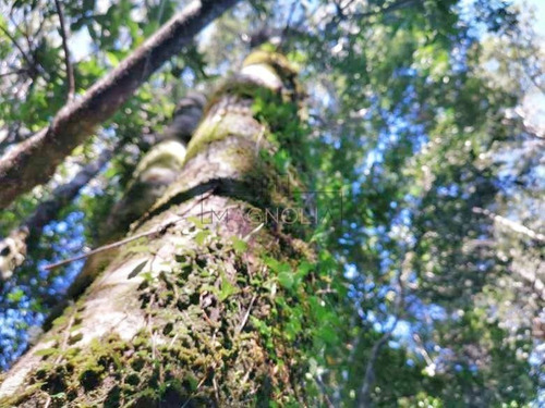 Sitios En Venta Para Inversión En Puerto Varas