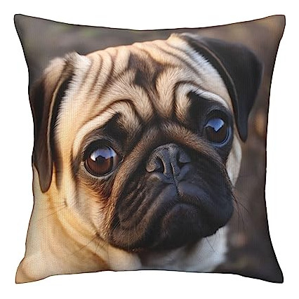 Funny Pug Dog Throw Pillow Covers Square Cushion Couch ...