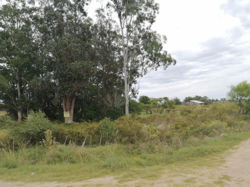 Imagen 10 de 12 de Chacra A La Venta - A 2 Km De San Antonio - 5 Hás