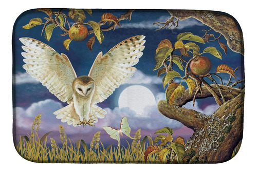 Prs4062ddm Barn Owl In The Apple Orchard - Tapete De Secado 