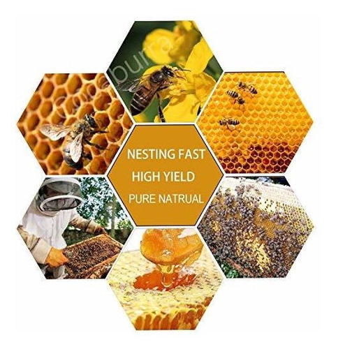 Molde Para Velas Cocaburra 30 Hojas De Cera De Abeja, Hojas