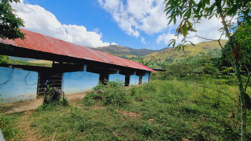Vendo Finca Productora De Cerdos Y A Fines En Chirgua De 8 Hectáreas