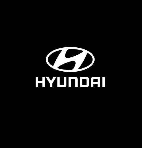 Bomba De Aceite Hyundai Tucson Crdi 2.0  Interna 