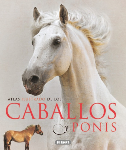 Libro Caballos Y Ponis