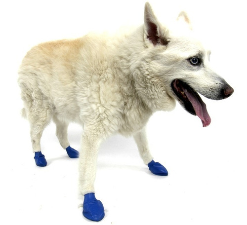 Sapatinho Pawz Dog Boots - 12 Botinhas Tamanho Médio