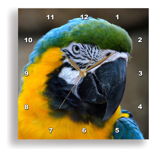 3drose Azul Y Dorado Guacamayo Parrot Head View C - Reloj De