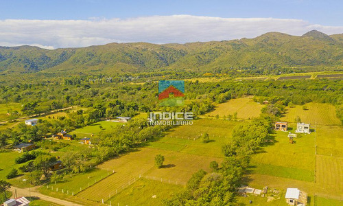 Imagen 2 de 9 de Terreno - Solar Los Molinos