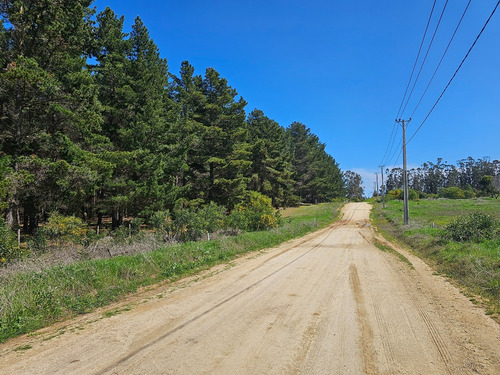 Hacienda Algarrobo, 5000 M2,portería, Rol, Red De Luz Y Agua