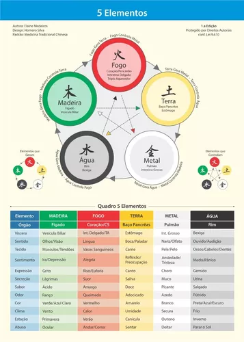 Mapa 5 Elementos (Pequeno) - NutriEvas - Especializada em Medicina  Tradicional Chinesa