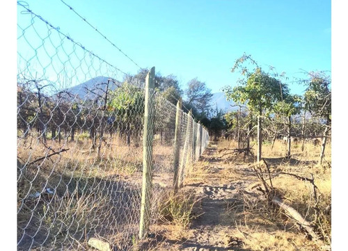 Terreno De 4700 M2 En Olivar Bajo