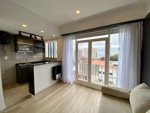 Imagen 5 de 14 de Departamento 1 Ambientes A La Calle Con Balcon Frances En Venta En Mar Del Plata