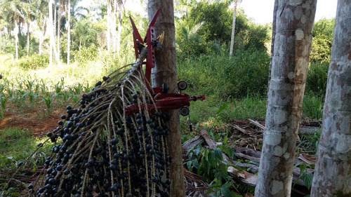 Colheitadeira De Açaí Trajano - Kit C/ 08 Hastes