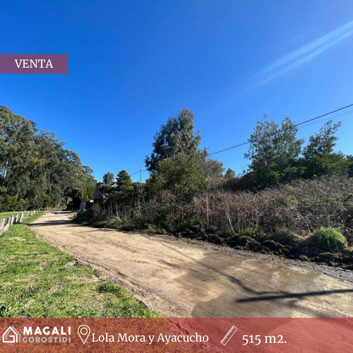 Lote En Venta - Lola Mora Y Ayacucho