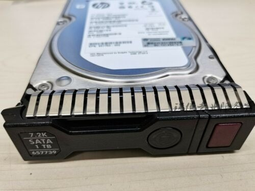 Imagen 1 de 4 de Disco Duro Hp 858594-b21 1tb 6g Sata 7.2k Rpm Lff Hdd