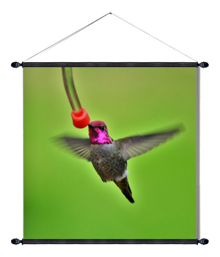 Lienzo De Algodon  Afiche Hermoso Colibri 70x70cm 