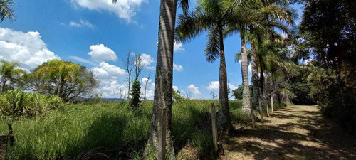 Imagem 10 de 11 de Lindo Sitio Com Acesso A Represa Em Mogi Das Cruzes!!!