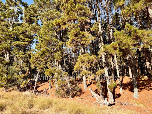 Imagen 8 de 23 de Villarobles Lote 594 Frente A Laguna 2 Retasado!!