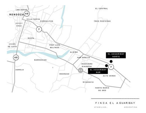 Campo - Finca Productiva De Primer Nivel, Mendoza, 80 Hectareas