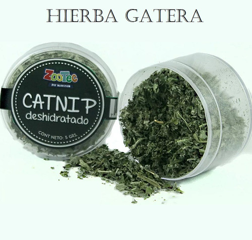 Hierba Gatera 