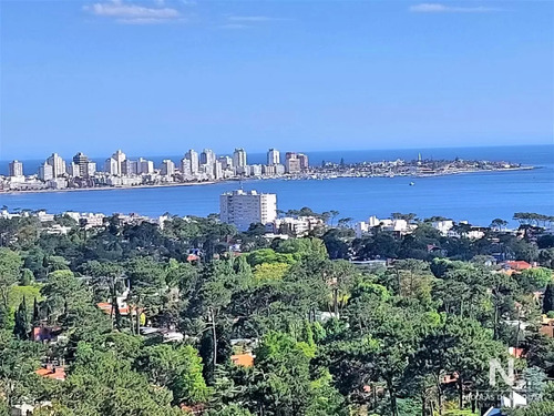 Amplio Apartamento En Piso Alto, Con Excelente Vista Al Mar En Venta. 