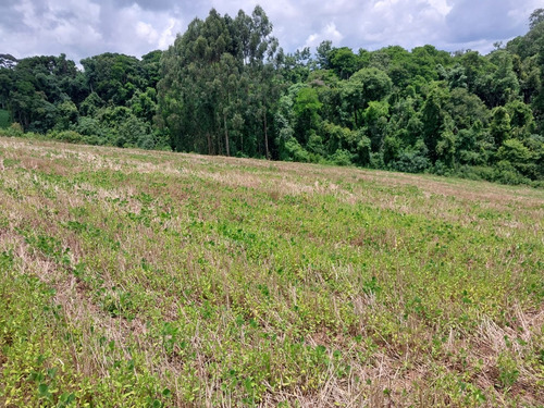 Chácara Na Lapa (feixo), Próximo A Mariental, Com 44.000 M2