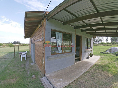 Imagen 3 de 23 de Chacra En Los Cerrillos, 3 Has Con Casa, Pozo De Agua.
