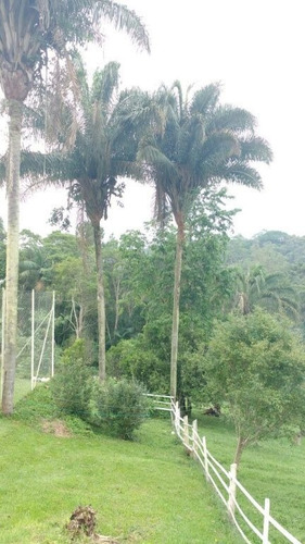 Imagem 7 de 15 de Chácara Em Juquitiba - Mv5202