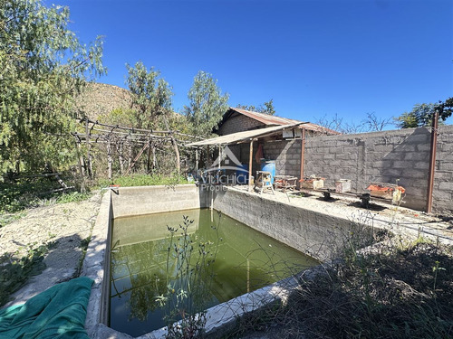Agrícola En Venta En Vicuña