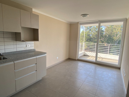 Arriendo Dpto 1 Dormitorio Y 1 Baño. Locomocion A La Puerta