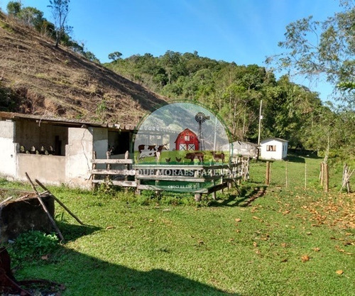 Imagem 9 de 29 de Fazenda Medindo 103 Alqueires Paulista No Vale Do Ribeira Sp Ref.: 0372