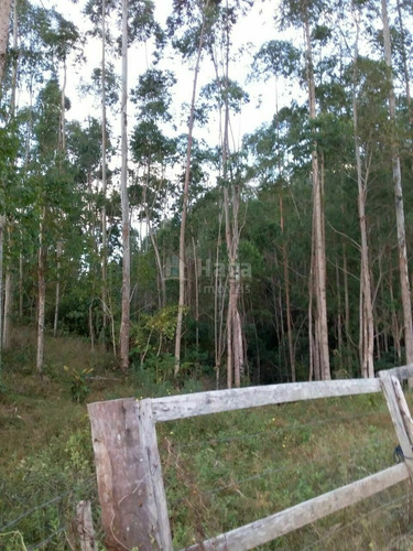 Imagem 10 de 10 de Chácara À Venda No Bairro Chapadão Figueira - Botuverá/sc - 1943c