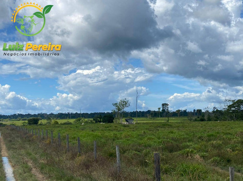 Imagem 4 de 5 de Fazenda À Venda Em Tucuruí - Pa - 2.420 Hectares P/lavoura De Soja - 1832