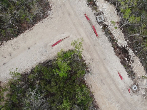 Imagen 7 de 13 de Venta Terreno En Tulum Cerca Del Centro