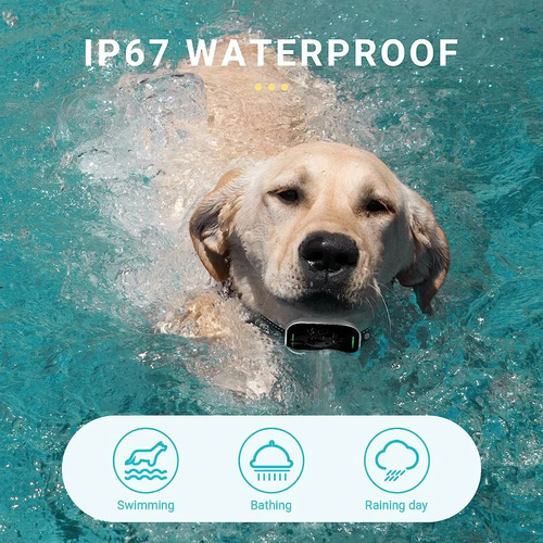 Collar De Entrenamiento Para Perros De 1800 Pies Con Control Negro