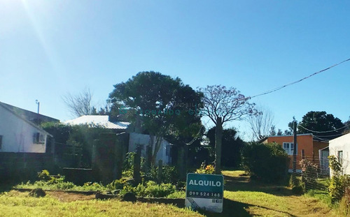 Imagen 14 de 14 de Colonia Del Sacramento - Casa A Refaccionar Con Muy Buen Terreno