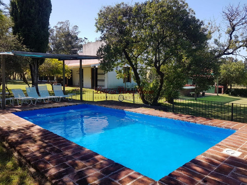 Venta De Chacra 46 Has Y Media Las Cañas Con Muy Buena Produccion De Olivos - Ref: 18579