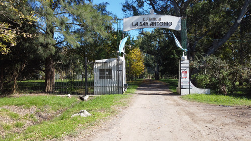 Lotes En Preventa De 20x30 Estancia La San Antonio, Guernica
